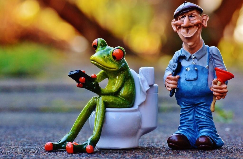 plumber with frog